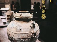 -广西壮族自治区博物馆