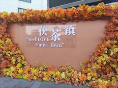 -茯茶镇