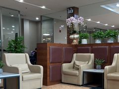 -桃仙机场头等舱休息室