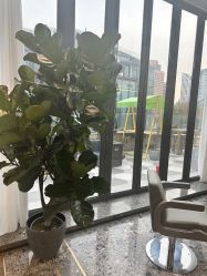 -MaisonFL·美颂法式专业美发艺术沙龙