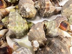 -禾斗海鲜自助(市南银座店)