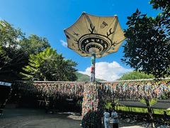 -西双版纳原始森林公园