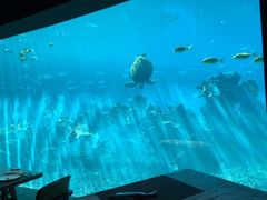 -海棠湾洲际-涛·海底餐厅·美人鱼·自助餐·海底隧道