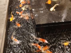 -弘安丽水温泉酒店