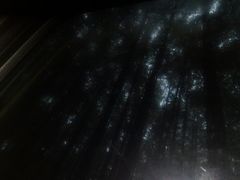 -山王坪喀斯特国家生态公园