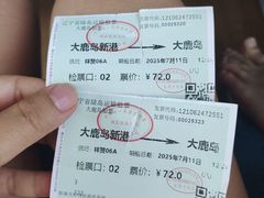 -大鹿岛