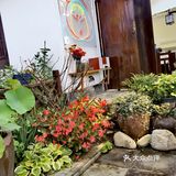 南京小众打卡地