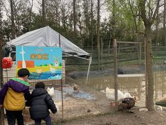 -前小桔亲子创意农场·草莓采摘·露营烧烤