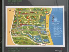 -日照海滨国家森林公园