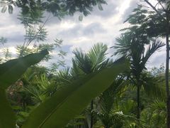 -西双版纳洲际度假酒店-曼霖轩中餐厅