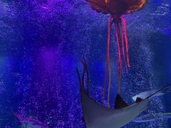 -沈阳海洋探索中心