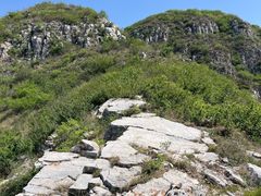 -富平县金粟山森林公园