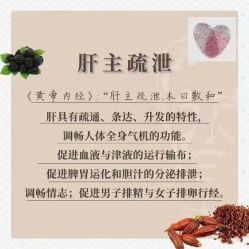 -赵大夫减肥