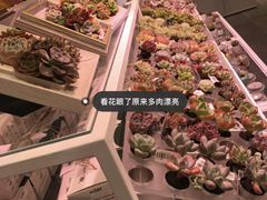 -KKV(天津津南吾悦广场店)