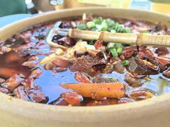 -青城甲(青城山店)