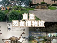 -自贡恐龙博物馆