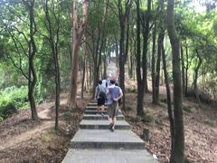 -火炉山森林公园