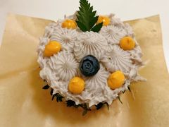 -野草莓自由市场