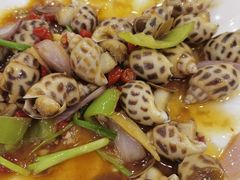 香辣花螺-春园海鲜广场D区6号(钟姐海鲜加工店)