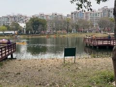 -新江湾城公园