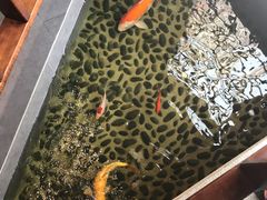 -尺山寸水日料(马桥满天星店)