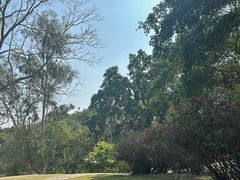 -中国科学院西双版纳热带植物园