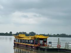 -溱湖国家湿地公园