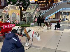 -王府井奥莱棋盘山小镇