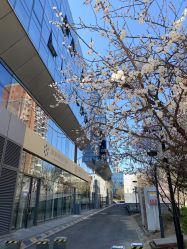 -More摩尔医美の注射线雕光电中心