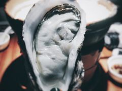 生蚝-捞围鲜·港式打边炉(海阳路店)