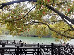 -白马涧龙池景区