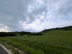 -御道口草原森林风景区