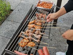 -春花秋色城市公园