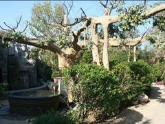 -仁爱团泊湖温泉中心