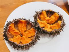 活海胆-海胆小馆(春柳店)