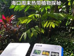 -海南热带野生动植物园