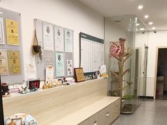 -凯特喵百思猫专科医院