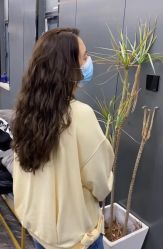 -藤野造型