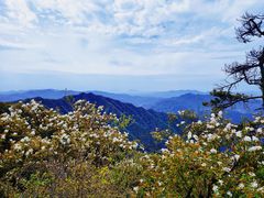 -王顺山国家森林公园
