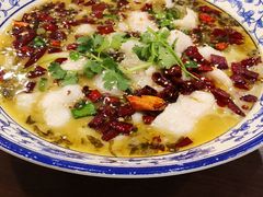-霸道酸菜鱼