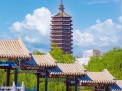 -西海子公园