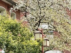 -浙江省杭州高级中学(贡院校区)