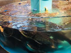 -魏铭鱼头捞饭(晋阳路店)