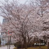 在草地上闲散的野餐是最好不过了