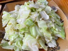包心菜-菜当家