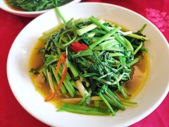 -蔡阿水羊肉店