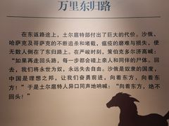 -巴音郭楞蒙古自治州博物馆