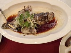 -顺峰(农展馆店)