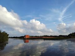 -芒洲湿地公园