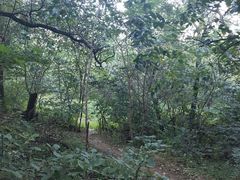 -香山公园-东宫门售票处